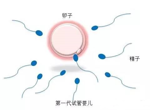 医生